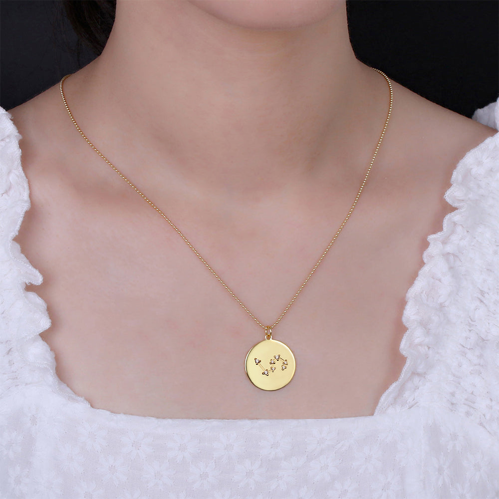 Zodiac Sign Disc Necklace, custom horoscope necklace, personalized star sign necklace